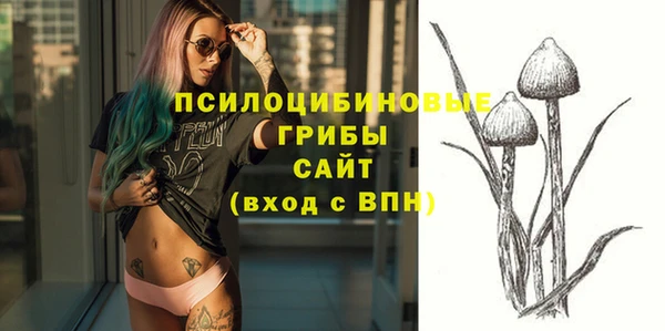 дурь Алексеевка