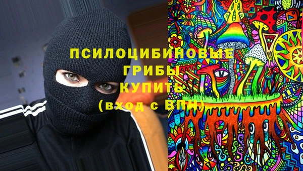 винт Алзамай
