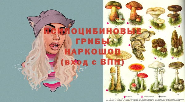 винт Алзамай
